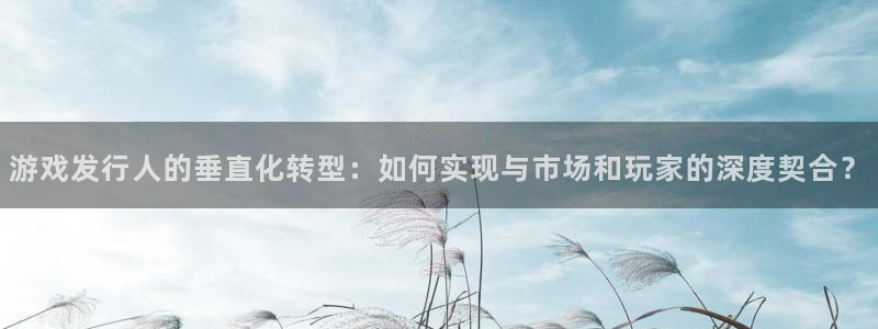 非凡游戏登录注册账号安全吗安全吗：游戏发行人的垂直化转型：如何实现与市场和玩家的深度契合？