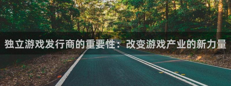 非凡游戏注册方法是什么样的：独立游戏发行商的重要性：改变游戏产业的新力量
