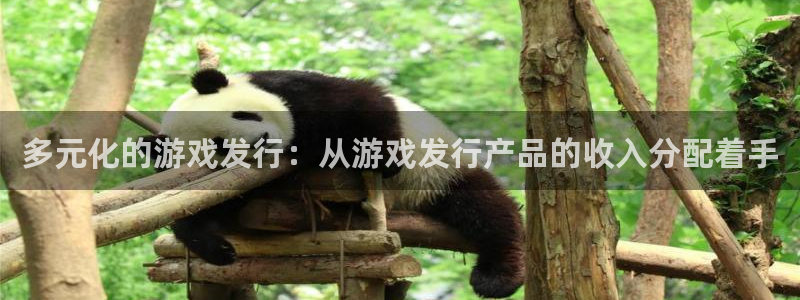 非凡游戏注册平台怎么样可靠吗：多元化的游戏发行：从游戏发行产品的收入分配着手
