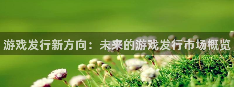 非凡游戏怎么注册账号：游戏发行新方向：未来的游戏发行市场概览