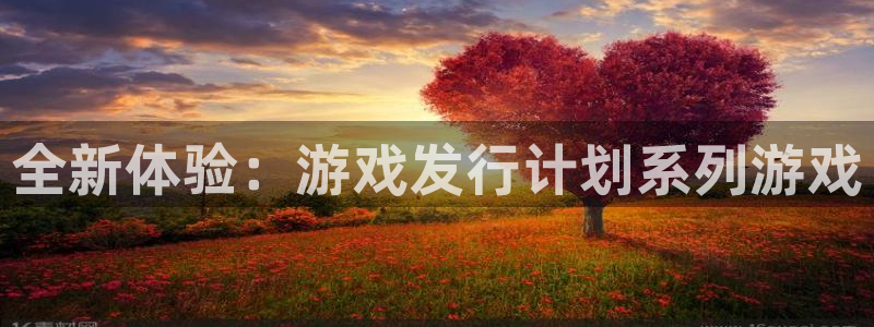 非凡游戏平台代理开号：全新体验：游戏发行计划系列游戏