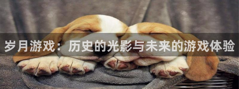 非凡游戏官网电子商务有限公司：岁月游戏：历史的光影与未来的游戏体验