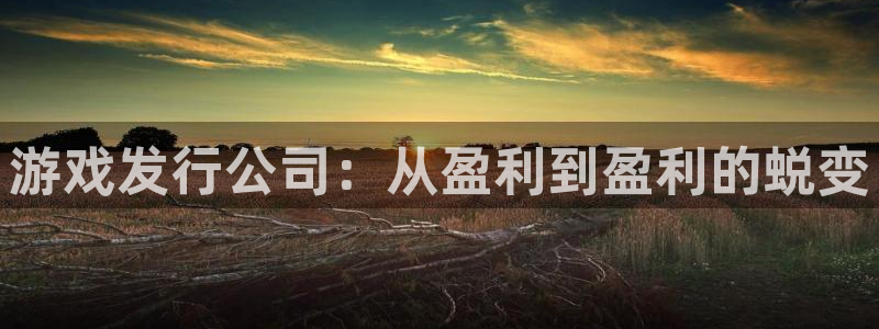 非凡游戏注册登录不了