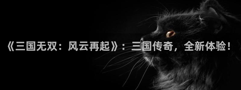 非凡游戏官网衣服怎么样：《三国无双：风云再起》：三国传奇，全新体验！