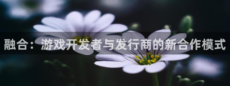 非凡游戏官网子怎么来的：融合：游戏开发者与发行商的新合作模式