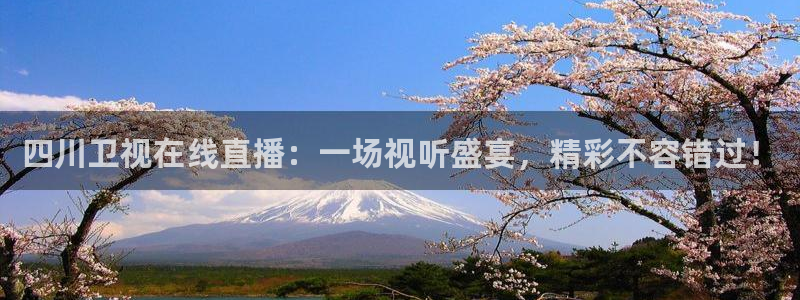 178足球体育比赛直播：四川卫视在线直播：一场视听盛宴，精彩不容错过！