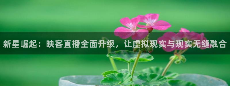 178今日篮球赛事直播：新星崛起：映客直播全面升级，让虚拟现实与现实无缝融合