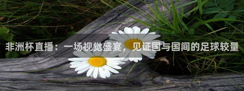 178体育直播在线nba：非洲杯直播：一场视觉盛宴，见证国与国间的足球较量