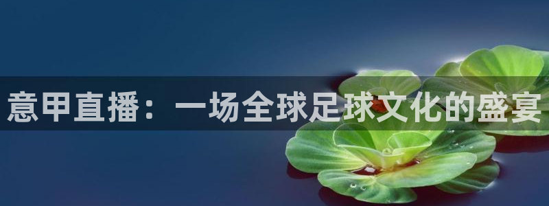 178篮球直播体育直播：意甲直播：一场全球足球文化的盛宴