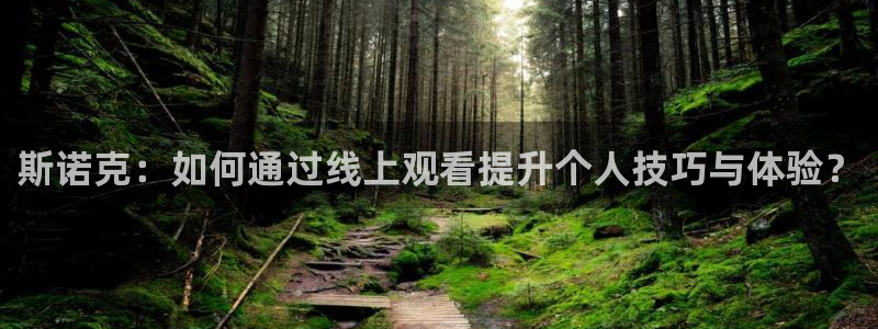 178直播在线直播篮球：斯诺克：如何通过线上观看提升个人技巧与体验？