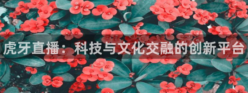 178直播体育nba：虎牙直播：科技与文化交融的创新平台