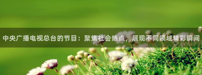 nba178在线直播免费观看直播：中央广播电视总台的节目：聚焦社会热点，展现不同领域精彩瞬间