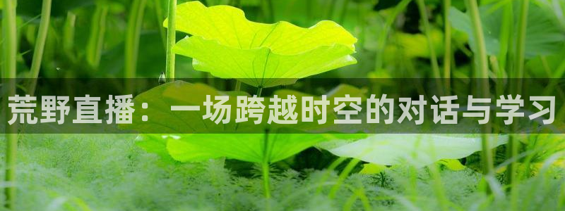 免费足球直播178：荒野直播：一场跨越时空的对话与学习
