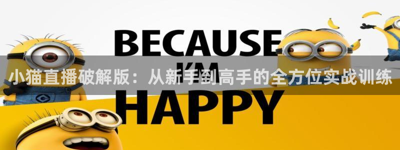 178直播足球直播直播：小猫直播破解版：从新手到高手的全方位实战训练