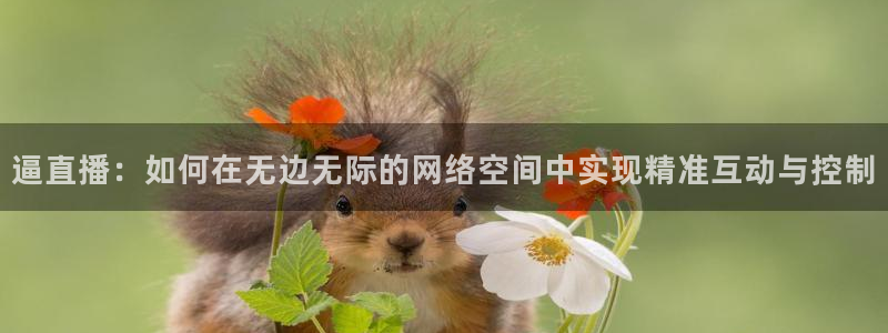 178免费足球直播：逼直播：如何在无边无际的网络空间中实现精准互动与控制